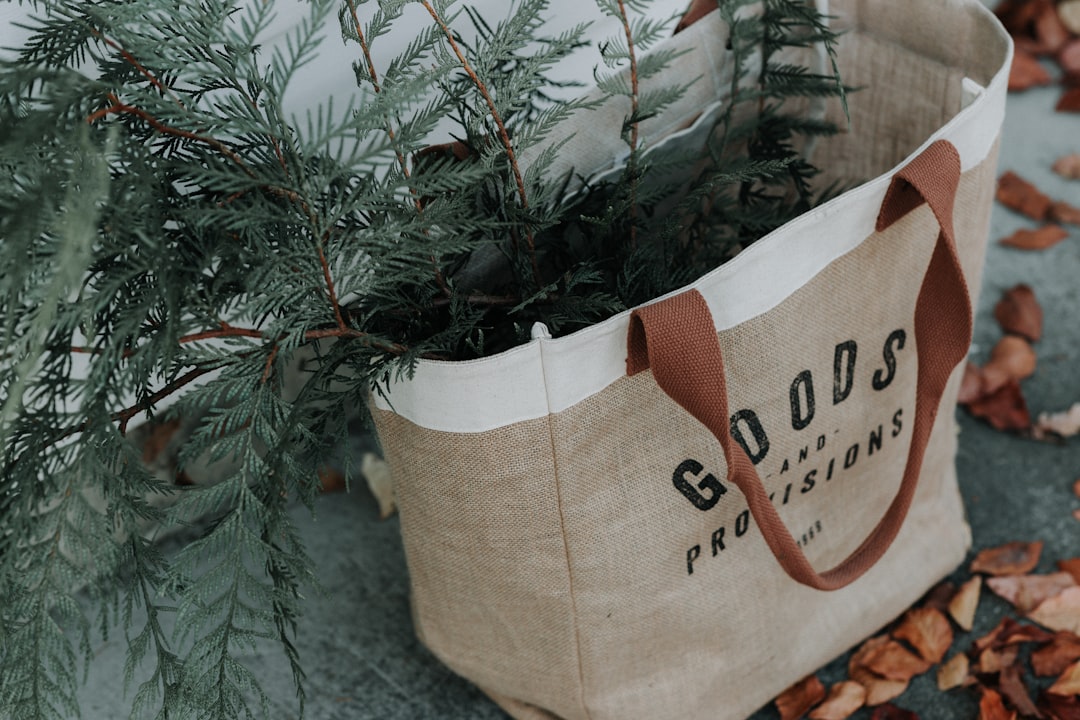 Sustainable Bag Supplies: Eco-Friendly Options at Noble Carries